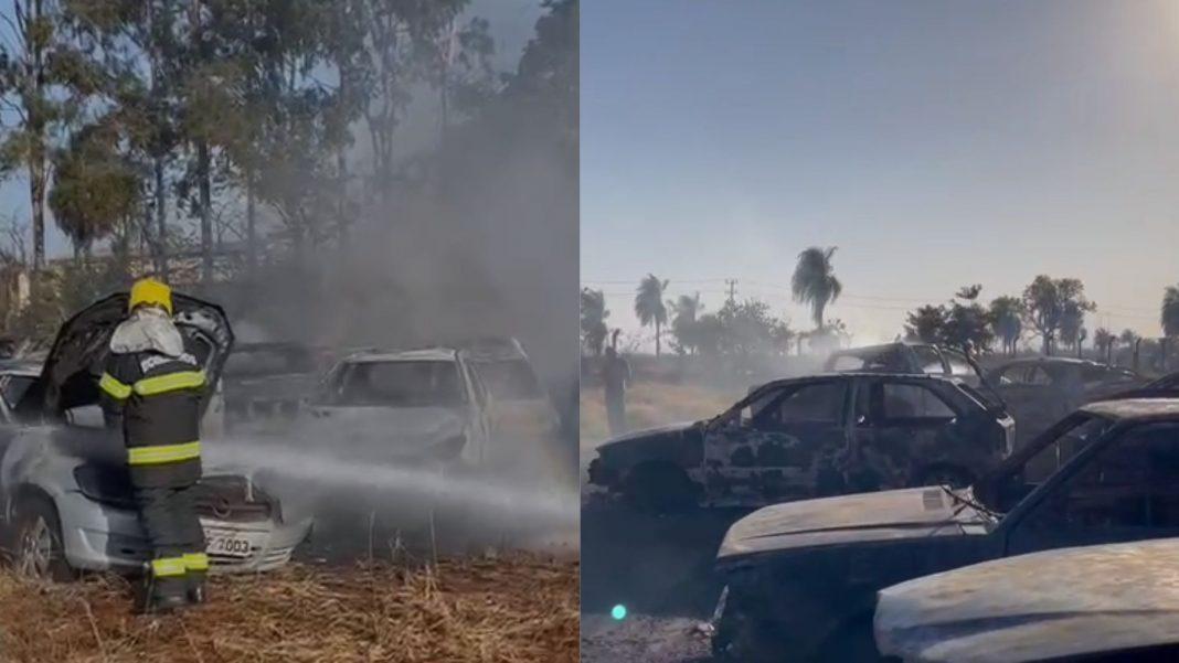 Incêndio em vegetação invade pátio e destrói 21 veículos que iriam a leilão em MS