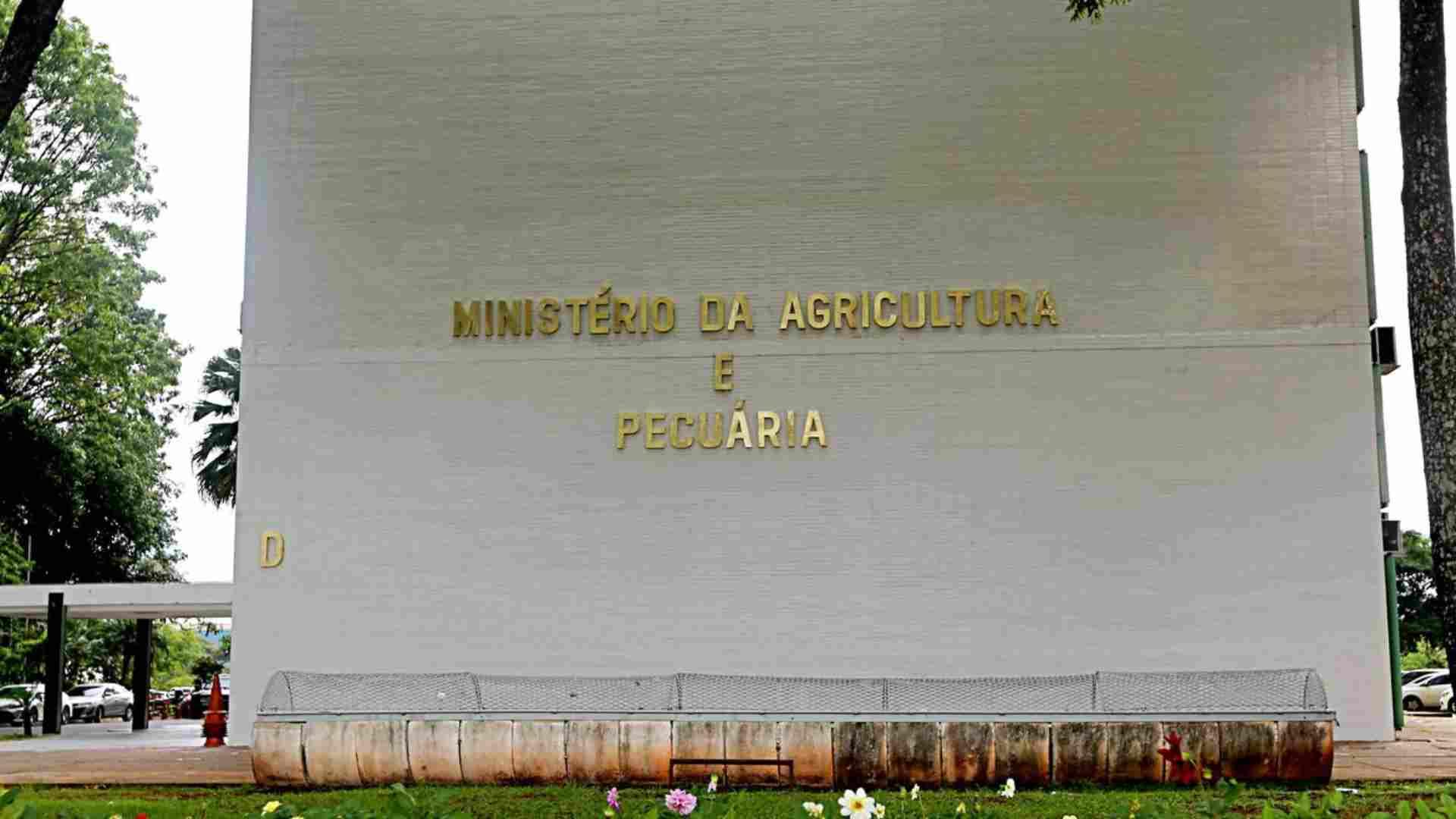 Ministério firma contrato de R$ 7 milhões para fortalecimento do agro em MS