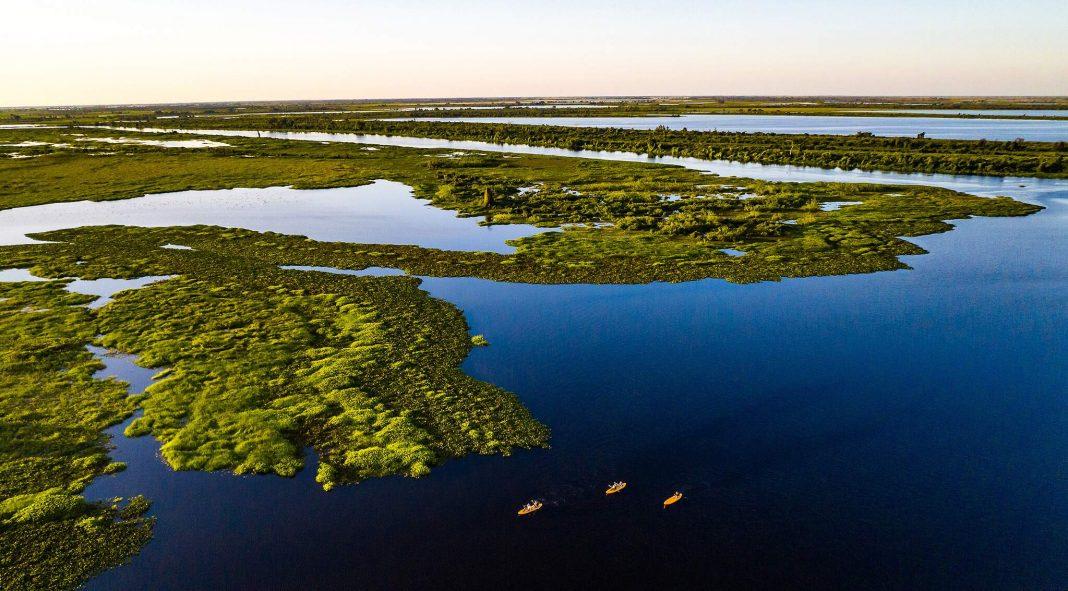Em primeira votação, maioria da Assembleia aprova ‘cognome’ Estado do Pantanal para MS