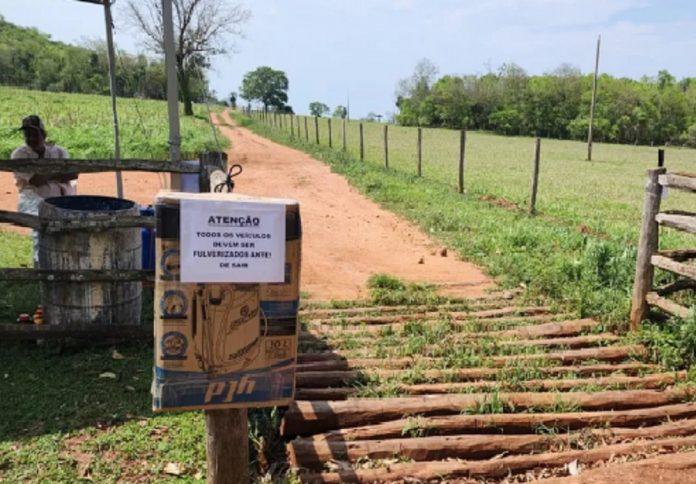 Mapa detecta 1º foco de gripe aviária em criação de aves domésticas em MS