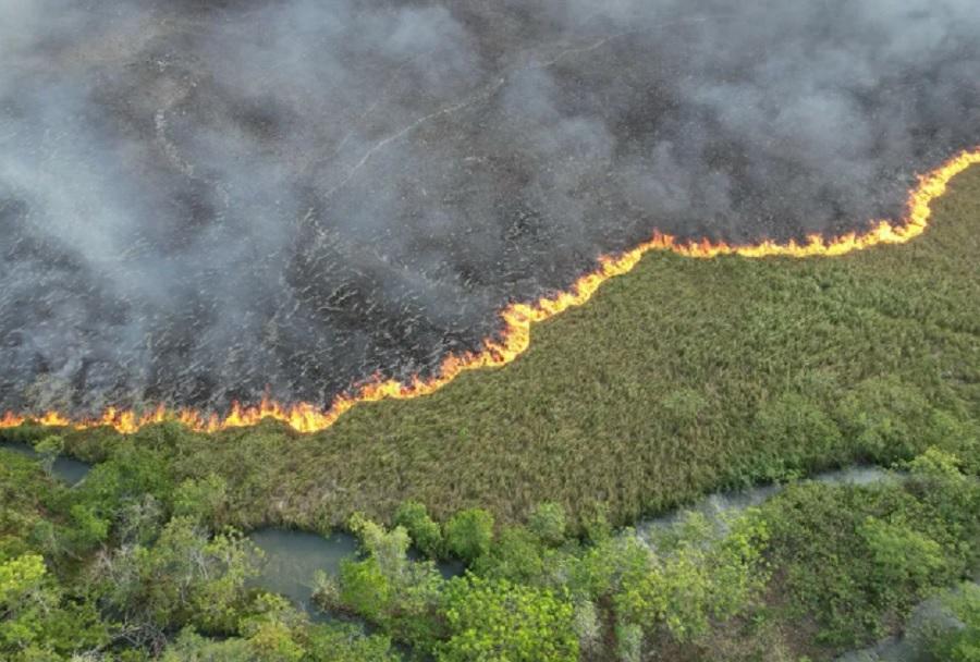 Raios podem ter iniciado incêndio que consumiu área igual a 500 campos de futebol em Bonito