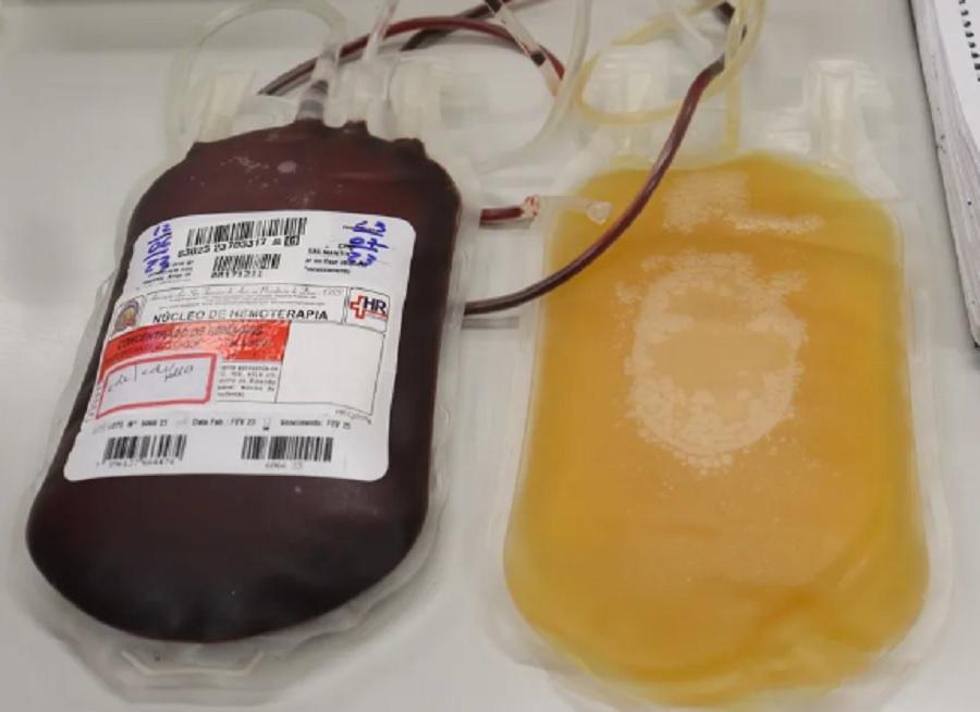 Após convênio, hemocentro de MS realiza primeiro envio de plasma sanguíneo para Hemobrás