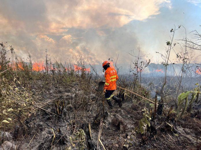 Corpo de Bombeiros identifica novo incêndio florestal e envia equipes para Pantanal do Paiaguás