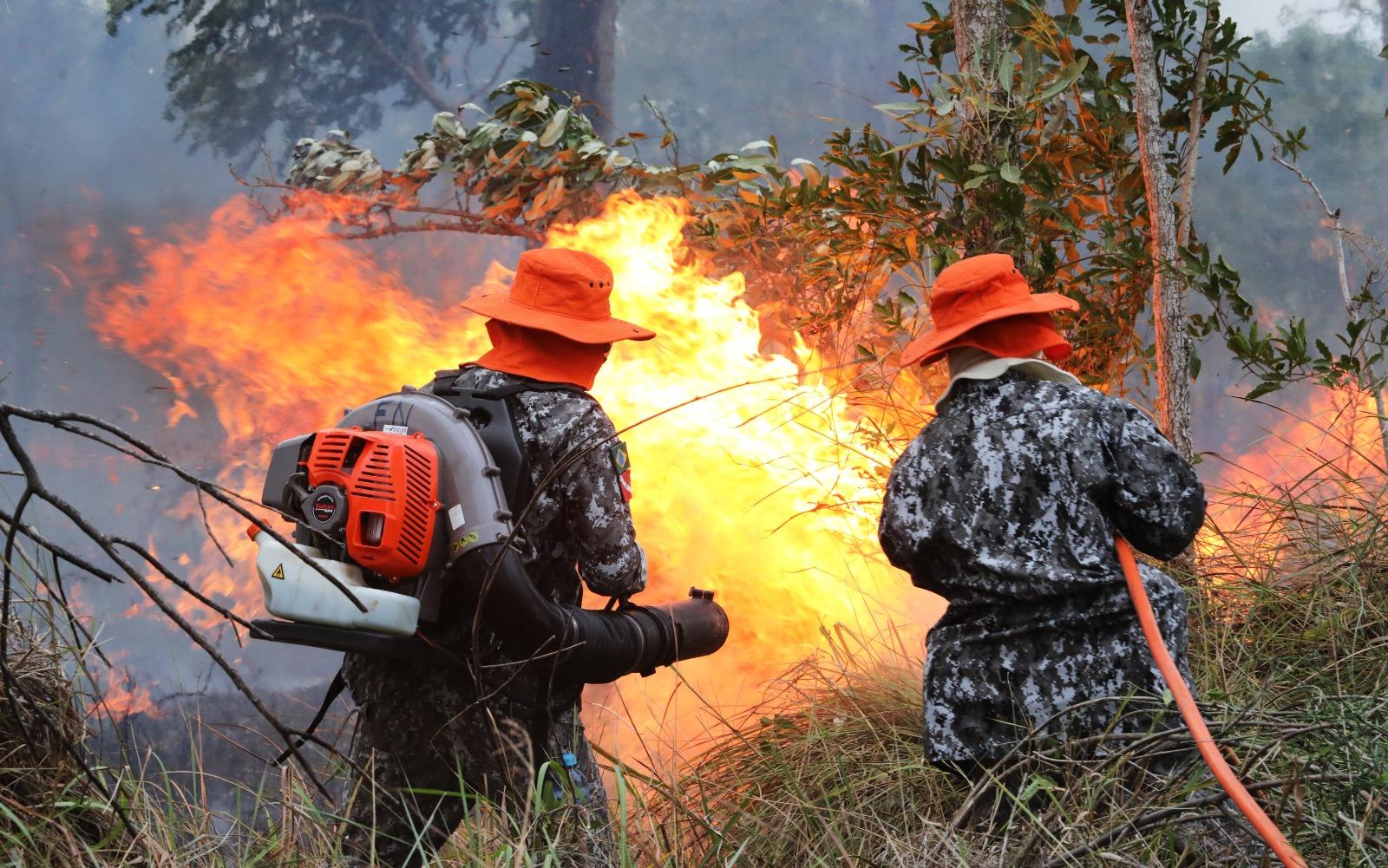 Força Nacional já atua no combate ao fogo no Pantanal