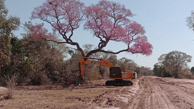 Estradas pantaneiras recebem patrolamento e manutenção