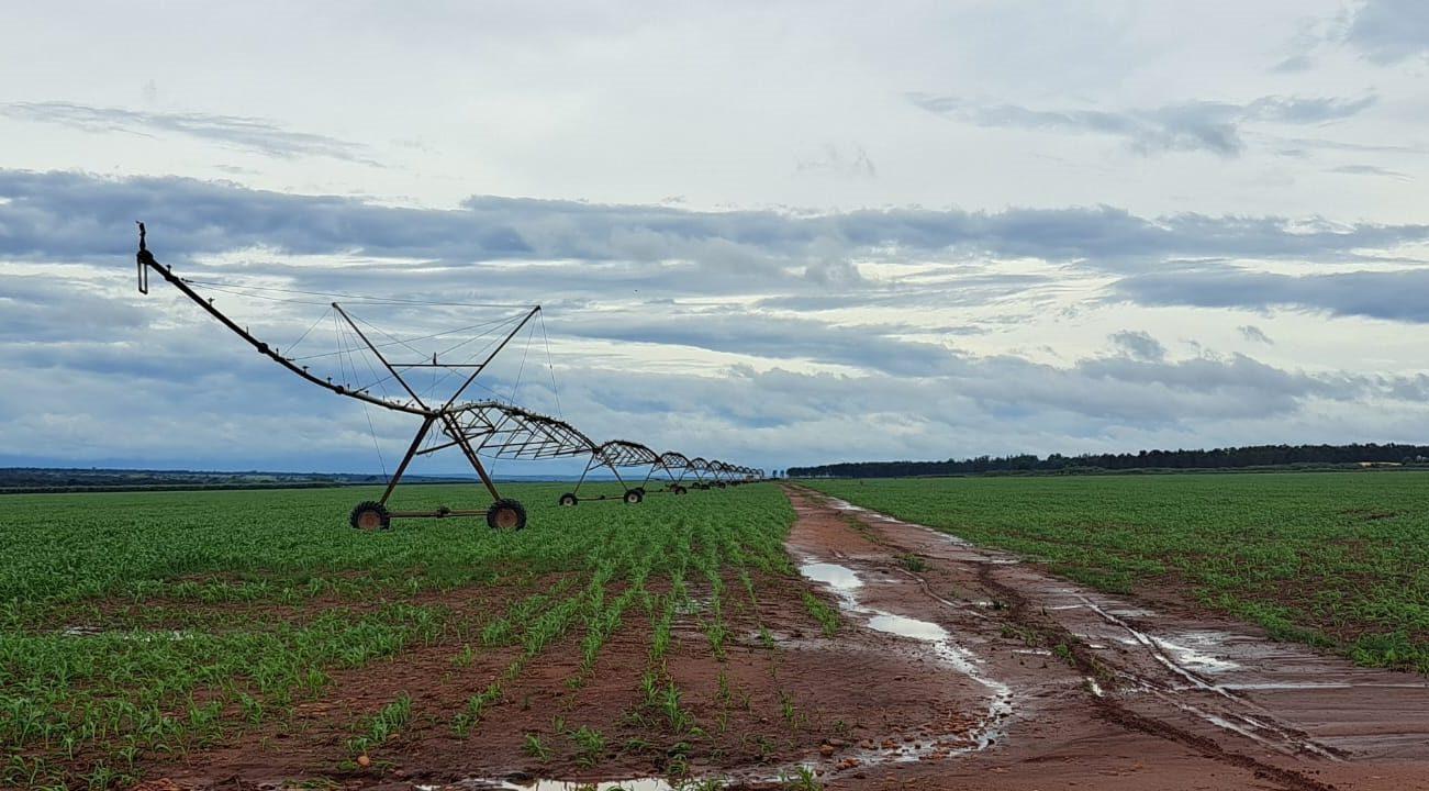FCO terá R$ 227 milhões para empreendimentos em diversas áreas no MS
