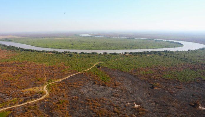 Governo de MS anuncia fim dos incêndios no Pantanal