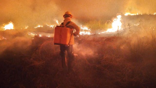 MP investiga 3 fazendas que queimaram 6,2 mil hectares no Pantanal
