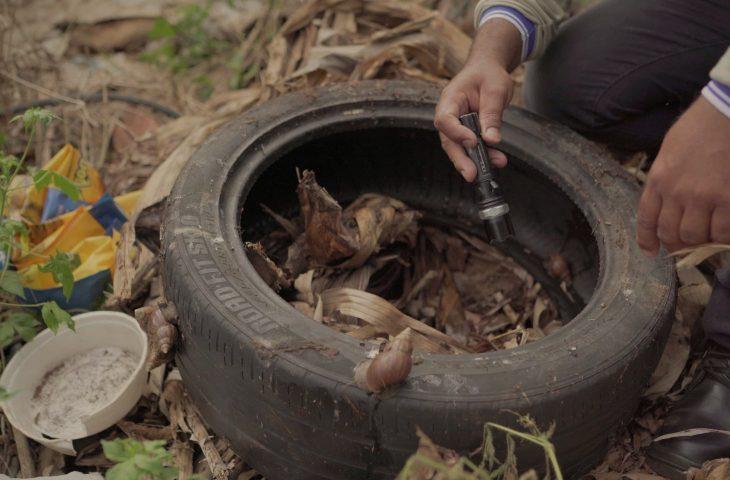 MS registra mais de 15 mil casos confirmados de dengue