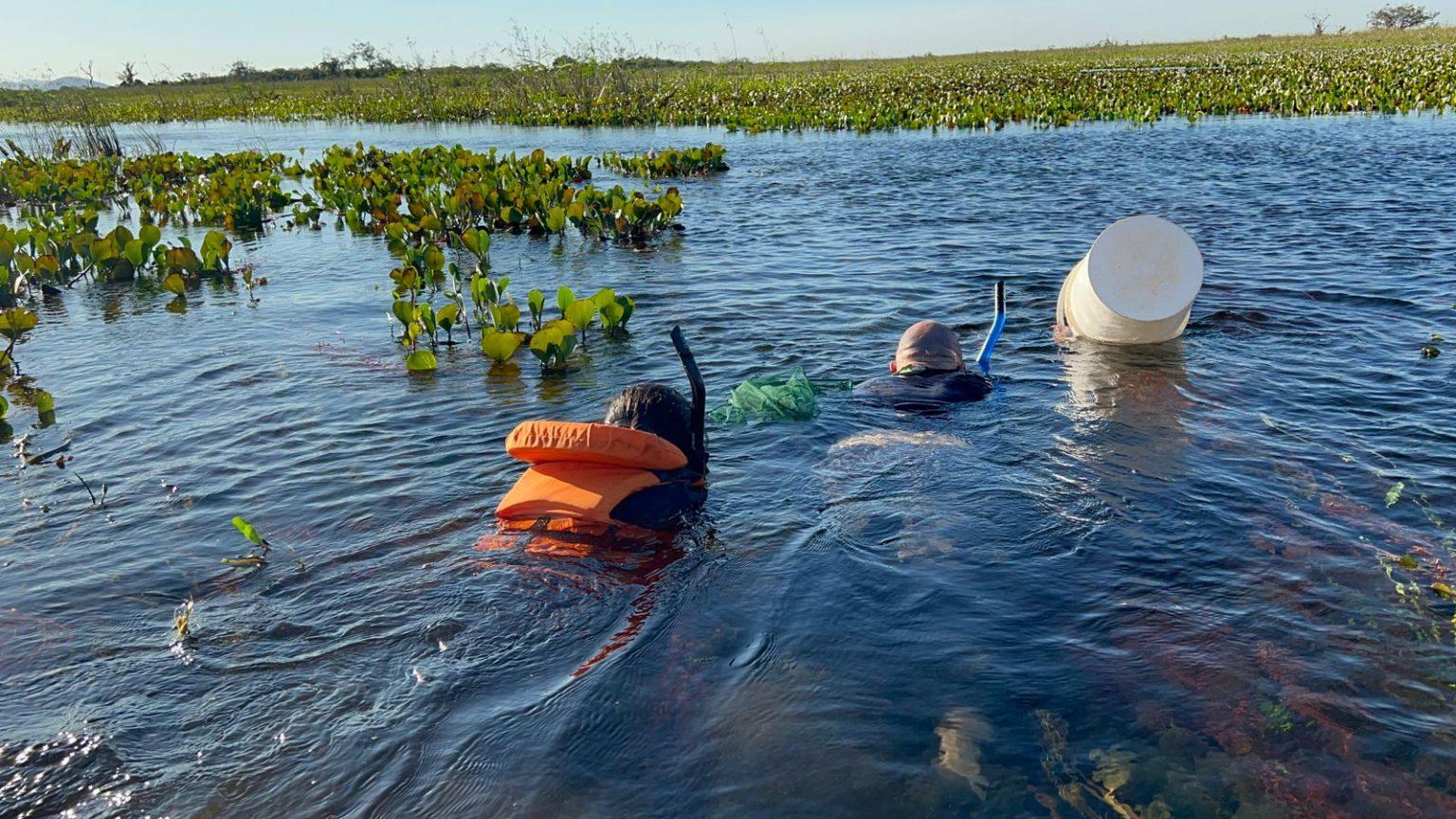 Parcerias possibilita expedição técnica-científica no Pantanal