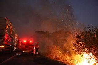 Trabalho intenso e melhora no clima reduz focos de incêndios no Pantanal