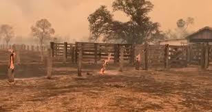 Aquidauana lidera os focos de queimadas com 278 focos de incêndio