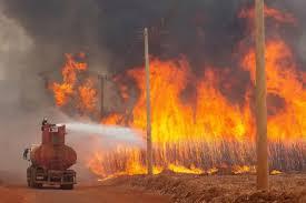 Defesa Civil diz que ação humana causou 99,9% dos incêndios em SP