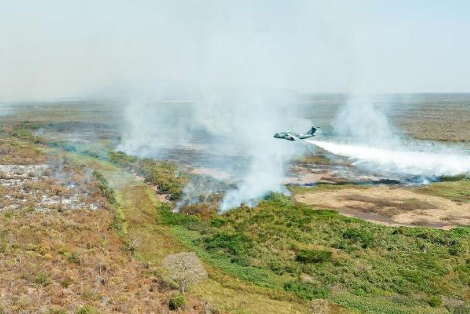 Polícia Federal investiga mais de 20 incêndios no Pantanal