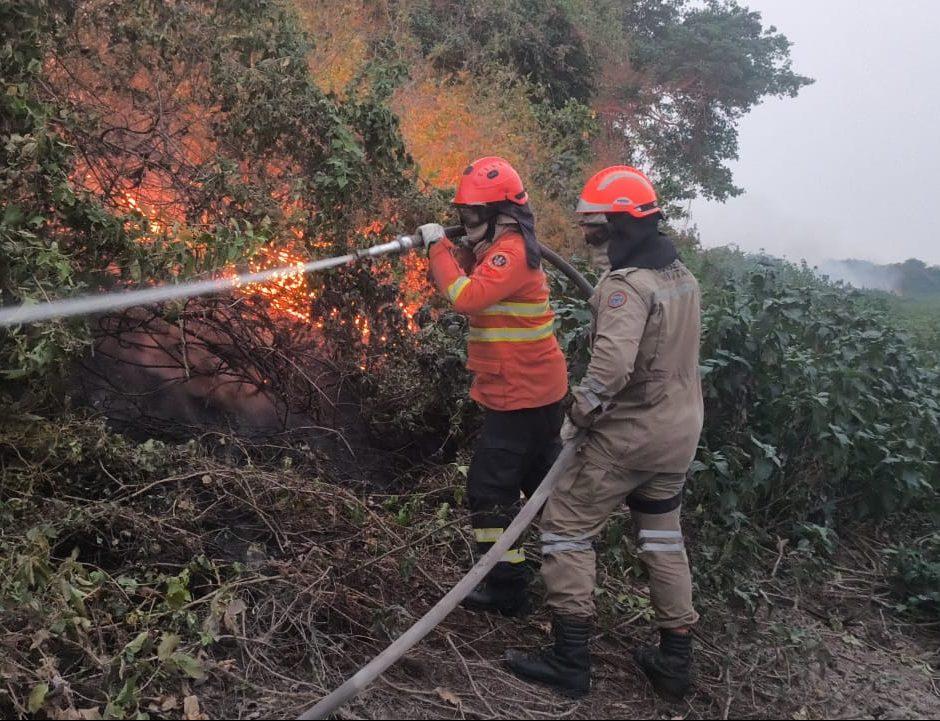 Bombeiros atuam no controle de incêndios florestais em MS