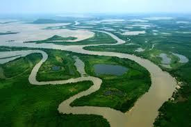 Climatologista prevê fim do Pantanal em 46 anos