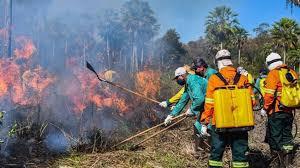 Dino estabelece orçamento de emergência para combate a incêndios