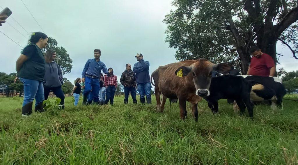 Governo de MS abre processo seletivo com 123 vagas na Agraer