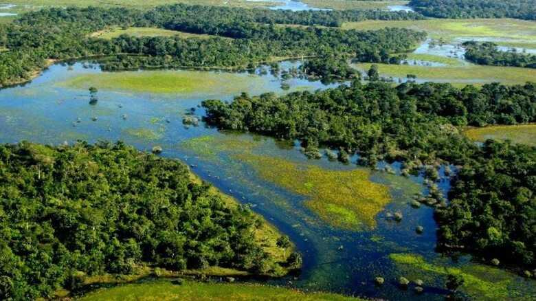 Marina Silva alerta que Brasil pode perder o Pantanal até o fim do século