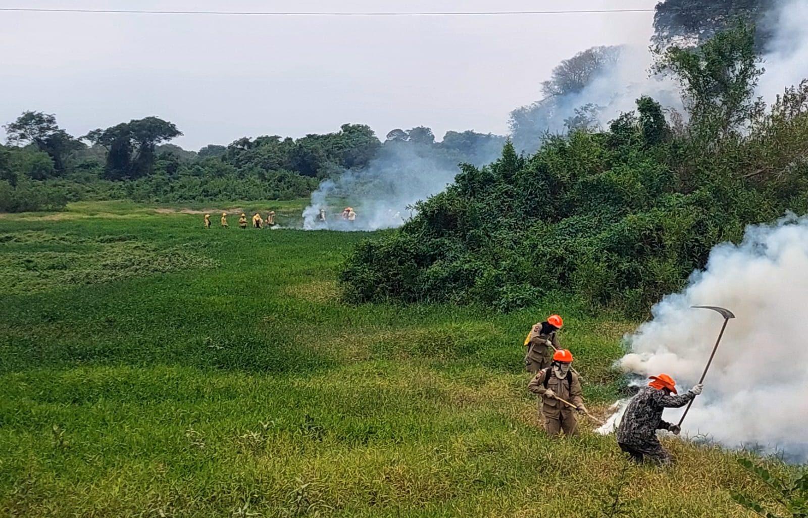 Chuvas acima da média contribuem para controlar focos de incêndios no Pantanal de MS