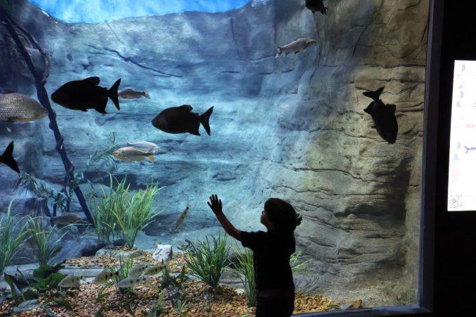 Bioparque Pantanal abrirá as portas no feriado com horário especial