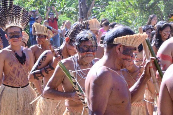 Fórum atualizará situação fundiária de terras indígenas no bioma pantaneiro