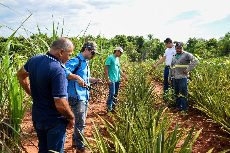 Secretaria de Produção e Pantabio fazem visita técnica aos produtores do Indaiá IV
