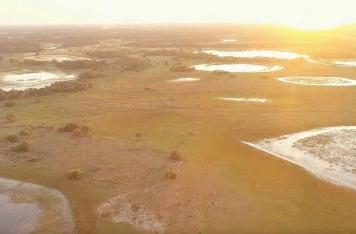 Sem focos de incêndios, Bombeiros continuam com monitoramento no Pantanal