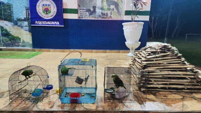 Homem é flagrado pela PMA com arapuca e aves silvestres em Anastácio