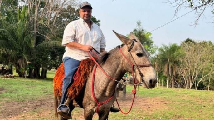 Pecuarista morre atacado por abelhas enquanto trabalhava na fazenda