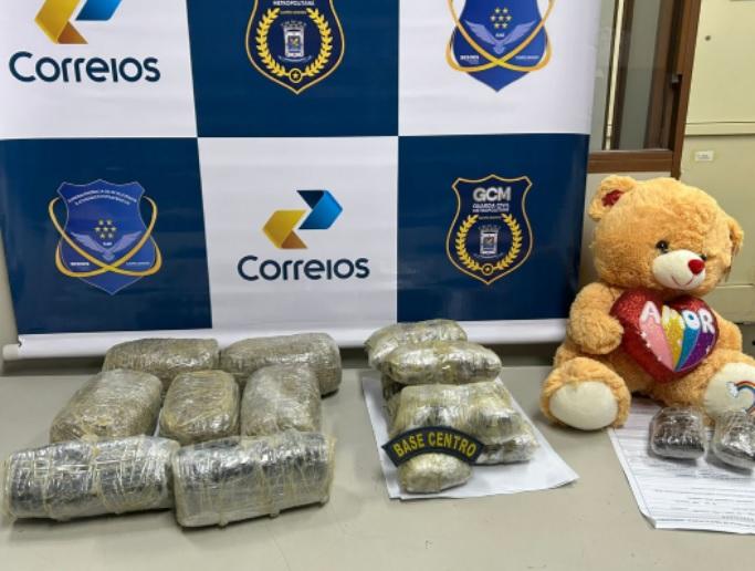 Traficantes tentam enviar drogas pelos Correios e mercadoria é apreendida na Capital