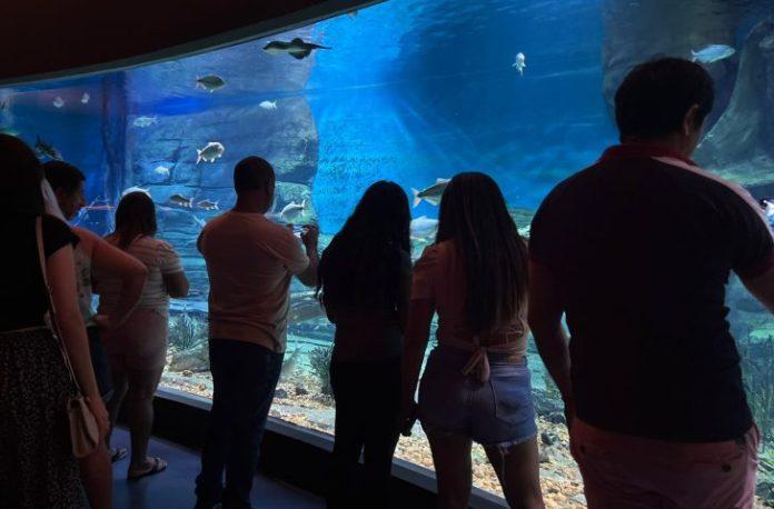 Bioparque Pantanal fecha para manutenção e reabre para visitação em 7 de janeiro