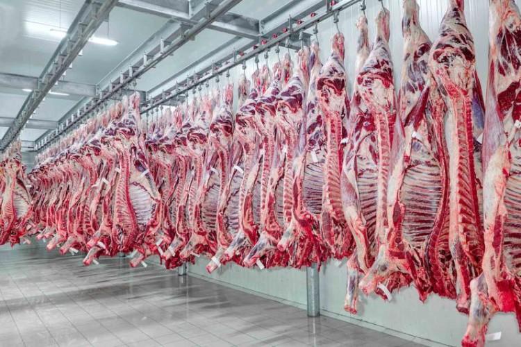 Brasil exporta mais carne em 4 semanas que em todo janeiro de 2025